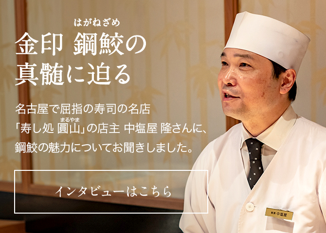 本わさび専用おろし板 鋼鮫プロ ｜ 金印わさび 法人・店舗向け
